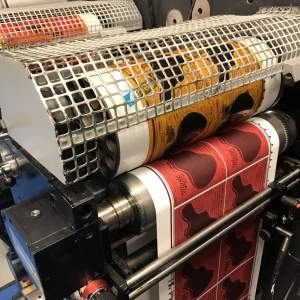 2019-05/kllzouw2rku7oups8bztaa